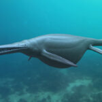 ancient-marine-reptiles-used-whale-like-feeding-technique,-fossils-show