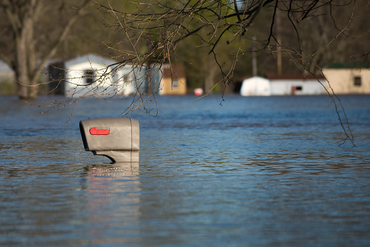 second-world-war-refugee-relives-trauma-after-melbourne's-maribyrnong-floods