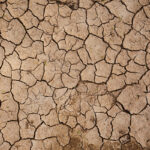 crisis-in-mayotte-a-wakeup-call-for-climate-management-in-eu's-poorest-island