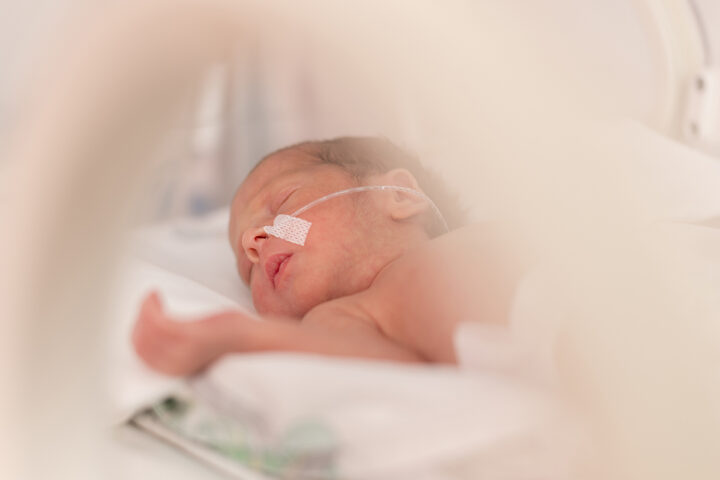 lifeline-across-borders-frühgeborene-gaza-babys-gerettet-in-ägyptischen-krankenhäusern
