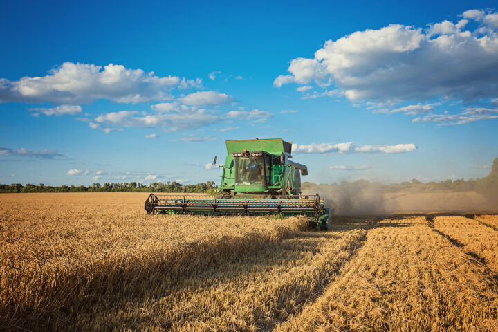 Umfassende-Innovation-wie-Getreidebauern-gegen-wetterbedingte-Herausforderungen-überleben